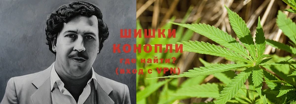 метадон Касимов