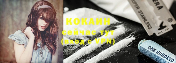 шишки Карпинск