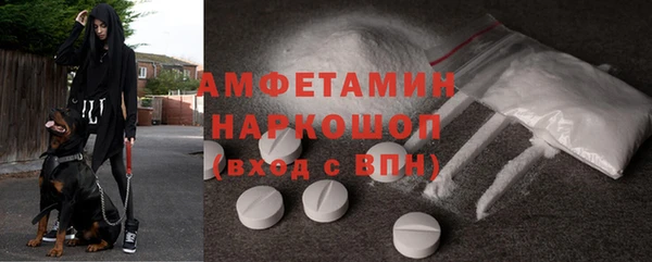 шишки Карпинск