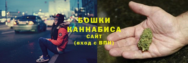 шишки Карпинск