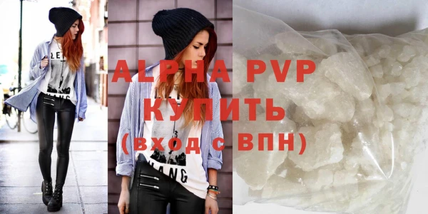 шишки Карпинск
